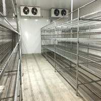 Projet clé en main de serre verticale en conteneur pour la culture de champignons, fournitures pour ferme en conteneur maritime
