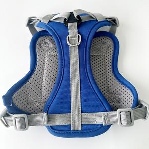 Direktverkauf ab Werk Luxuriöse Modische Personalisierte Polyester-Katzenleine und -Geschirr in Verschiedenen Farben Verstellbar - Product Image 6