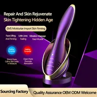 Machines anti-rides de lifting du visage personnalisées à chaud, équipement de beauté à usage domestique, dispositif de tonification faciale à micro-courant