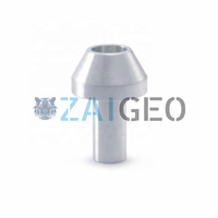 WJS 4100023 Wasserstrahl-Saphir-Rubin-Düse, WJS 7800101 7800049 Wasserstrahl-Diamantdüse, Ersatzteile für Wasserstrahlanlagen