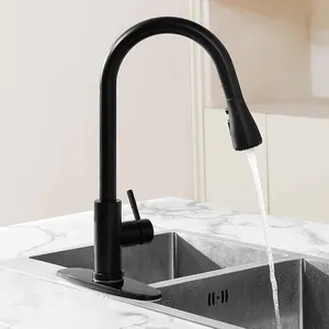 Aquacubic Black Single-Handle High Arc Single Hole Pull Out Kitchen Sink Faucets