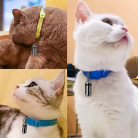 Pawise Vente en gros en acier inoxydable Plastique 3.5cm Pendentif pour chien Tube d'adresse Anti-Perdu Tube d'adresse d'identification pour animaux de compagnie pour chiens chats Petit animal