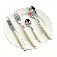 Ensemble de couverts de luxe réutilisables en acier inoxydable 4 pièces pour hôtels et événements, légers, finition miroir, couleur beige, manches en plastique
