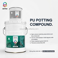 SEPNA Composti in Silicone Bicomponenti Resistenti alle Alte Temperature per Isolamento Elettrico Elevato in Falegnameria