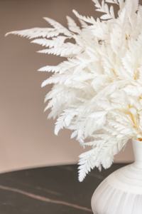 Decoración DE BODA preservada hoja de helecho de montaña floristería accesorios Dreid flor Davallia Mariesii - Product Image 4