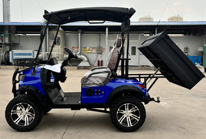 WELIFTRICH Carro de Golf Todoterreno de 2 Plazas con Batería de Litio y Plataforma Abatible - Product Image 5