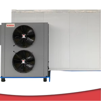 Warmtepomp Hoge Efficiëntie Commerciële Dehydrator Fruit- en Groente Droogmachine Continue Banddroger Chili Peper Droogapparatuur