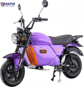 <strong>90</strong>/<strong>90</strong>/14 Adult Electric Motorbike <strong>Bike</strong> 60v20ah Battery Electric Motorcycles for Adults - Product Image 6
