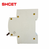 Üreticiler AC MCB 1P 2P 3P 4P 6A 10A 16A 20A 25A 32A 40A 50A 63A Elektronik Mini Minyatür Devre Kesici
