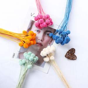 Flores Secas Preservadas Billy Button y Plantas Billy Ball Craspedia Natural para Decoración de Bodas y Hogar - Product Image 3