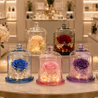 Cadeaux pour la Saint-Valentin 2027, rose éternelle réelle sous cloche en verre, fleurs d'amour éternelles, cadeaux pour la fête des mères avec lumière LED et boîte