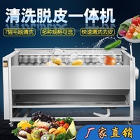 Machine commerciale en acier inoxydable pour le lavage et le pelage des pommes de terre, des tomates, du manioc et du gingembre
