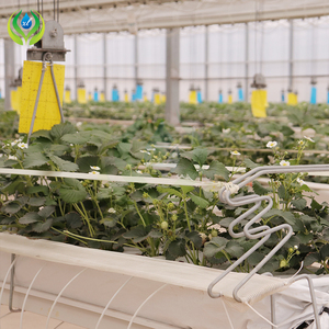 Myxl Grondloze Aardbeienkas Hydrocultuur Systeem Met Irrigatie - Product Image 3