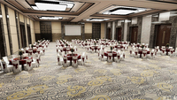Usine personnalisée cinq étoiles hôtel salle de banquet couloir chambre 80% laine 20% nylon mélange Axminster tapis ignifuge