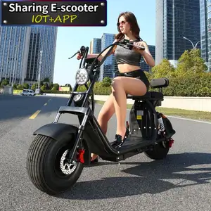 Citycoco-patinetes eléctricos con marco de acero de 150cc para hombre y mujer, batería extraíble, Kit de Golf para moto, 2023