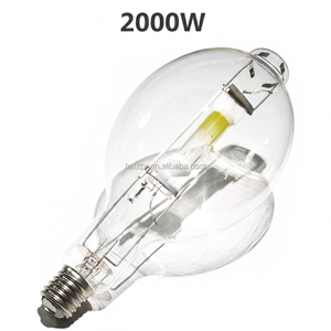 Projecteur HST E40 2000W à halogénures métalliques en verre 3000K-4000K pour la pêche au calmar et au saumon sur bateau <span class=keywords><strong>marin</strong></span> - Product Image 1