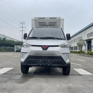 New -20 Centigrade Grande Capacité Freeze Van Wuling Cargo Van <span class=keywords><strong>Camion</strong></span> Réfrigéré pour Viande et Poisson Légumes Fruits Crème Glacée - Product Image 1