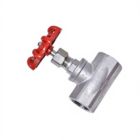 Válvula de Aguja Manual de Acero Inoxidable 304 al por Mayor, DN15 a DN50, para Control de Flujo Fino, ODM OEM Personalizada, 1 Año de Garantía