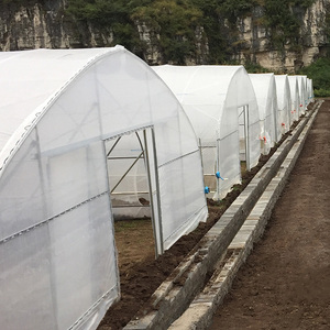 Tunnel serra agricola a campata singola di grandi dimensioni con pellicola in PE per la coltivazione <span class=keywords><strong>del</strong></span> peperone - Product Image 5