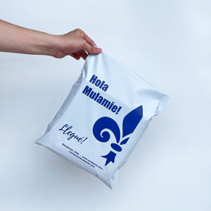 Sacs d'expédition écologiques mats blancs, couleur personnalisée, sac express blanc brillant avec logo doré, machine d'impression de sacs d'expédition pour boîte de chaussures en tissu - Product Image 1