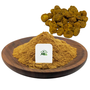 XIYOU kaynağı saf doğal Corydalis Yanhusuo özü tozu 20:1Yanhusuo özü - Product Image 3