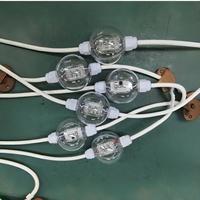 Lumière LED à pixels en forme de boule en matériau PC étanche IP67 avec fonction de synchronisation musicale pour l'éclairage des discothèques et des bars