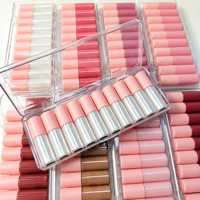 Lot de 10 brillants à lèvres crémeux hautement pigmentés, transparents et scintillants, kit mini gloss OEM, ensemble de rouges à lèvres mats nude