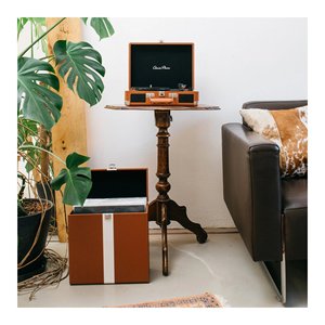 Custodia LP CLASSIC PHONO TTA 301 Marrone - Product Image 6