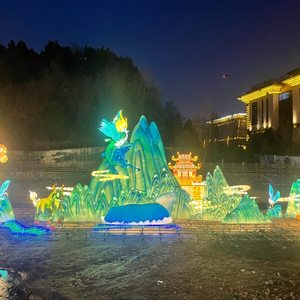 2025 đèn lồng triển lãm ngoài trời không thấm nước lễ hội lanternshow cho công viên chủ đề trang trí đèn lồng lụa hiển thị với đèn LED - Product Image 5