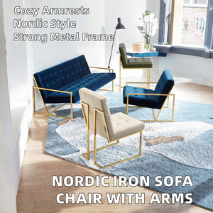 Nordic Minimalist Stainless Steel Single Sofa <b>Chair</b> Armrests Italian Style -Home Furniture for <b>Small</b> Apartment Living Room - Product Image 2
