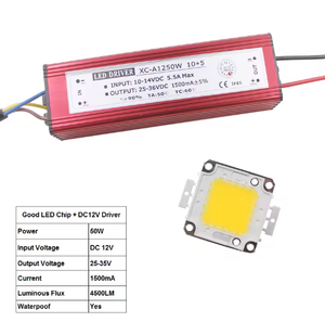 10W 20W 30W 50W हाई पावर एलईडी फ्लड लाइट COB चिप + AC / DC 12V इनपुट एलईडी फ्लडलाइट बिजली की आपूर्ति एलईडी ड्राइवर - Product Image 3