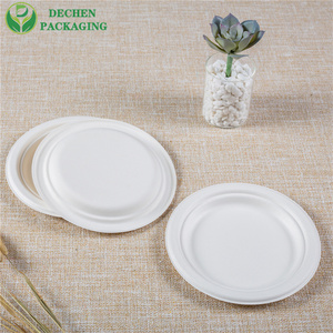 Disposable Bagasse Plates – Heavy Duty Sugar Cane Plates for Wholesale
