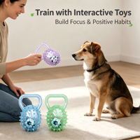 Juguete Masticable para Perros con Púas, de Felpa, para Limpieza Dental, Interactivo y Popular