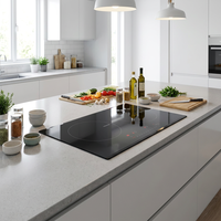 Table de cuisson à induction 24 pouces, double brûleur, 120V 60Hz, encastrable et portable, cuisinière électrique à commande tactile, 1750W