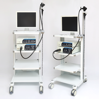 Gastroscopy Colonoscopy Hospital Medical Endoscope Camera System Flexible Video Gastroscope and Colonoscope