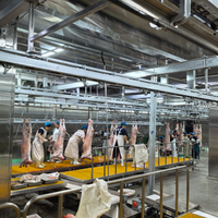 Équipement moderne entièrement automatique en acier inoxydable pour ligne d'abattage de moutons, destiné aux abattoirs à fort volume et aux usines de transformation de viande
