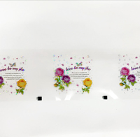 Película de Transferencia de Calor con Holograma Personalizado, Pegatinas Láser para Impresión por Transferencia de Calor