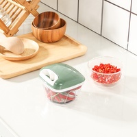 Hete Aanbieding Vierkante Handmatige Voedselhakker van RVS, Handbediende Knoflookpers, Groentehakker