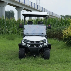 Mini Carro de Golf Económico, Vehículo Eléctrico Tipo Buggy, 5-6 Asientos, Autonomía de 50-70 km, Precio Bajo de Fábrica, Alta Calidad - Product Image 2