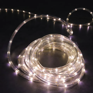 Più popolare vecchio stile 11mm 30Led/m decorazione in alluminio rotondo 2 fili Led corda di luce - Product Image 4