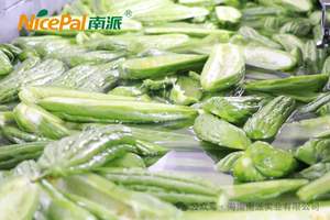 Sprey kurutulmuş acı kavun tozu-doğal Charantin ve K vitamini, kan şekeri desteği, % 100% çözünür - Product Image 2