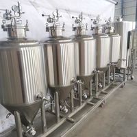 GHO Promotion Spéciale : Cuve de Fermentation Conique à Double Enveloppe 50L/100L pour Système de Brassage de Bière Artisanale