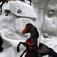Veste en jean DiZNEW Brown Horse Cotton Factory OEM/ODM Veste en jean à impression numérique délavée Veste en jean à boutons pour hommes