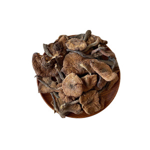 Origine Approvisionnement direct Miel sauvage Champignon Nord-Est Miel sauvage Champignon séché Armillaria mellea Ragoût de <span class=keywords><strong>champignons</strong></span> au <span class=keywords><strong>poulet</strong></span> - Product Image 2