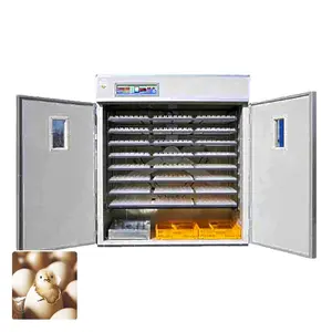 2022 O Melhor Equipamento Agrícola Egg Incubadora Chicken Brooder 36 Egg Haching Machine Incubadora