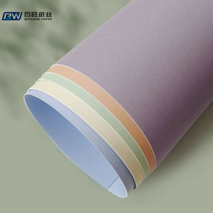 <span class=keywords><strong>Papel</strong></span> <span class=keywords><strong>mate</strong></span> de color imprimible Diy Craft Card Stock Hojas de <span class=keywords><strong>papel</strong></span> Color Cartulina - Product Image 2