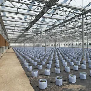 2023 years Aquaponics SunsGreenhouse Multi-Span Agricultural Greenhouses with Hydroponics System Vertical Factory Price SUNSGH brand polyhouse