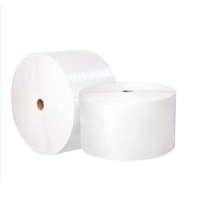 Autocollants de rouleau d'étiquettes en continu en film PET argenté polyester brillant-Impression à jet d'encre/Memjet