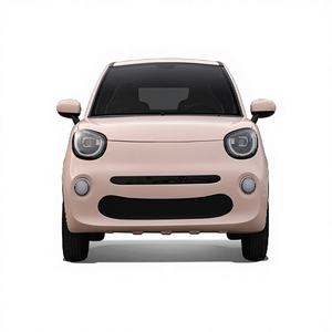 Véhicule électrique compact 5 portes avec une autonomie inférieure à 100 km, nouvelle énergie, 3000W-7000W FSL LD-16 - Product Image 1