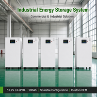 Batterie lithium LiFePO4 de qualité A 51,2V 300Ah 314Ah 15kWh 16kWh pour stockage d'énergie domestique, solaire, hors réseau, montage mural, Europe, OEM, ODM